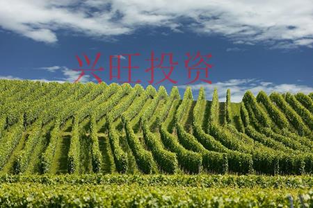好聽(tīng)的農(nóng)業(yè)公司名字都怎么起名