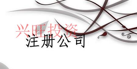 廣州市注冊有限責任公司