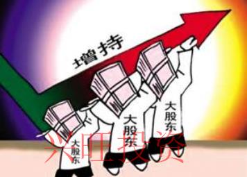 鹽田創(chuàng)業(yè)注冊公司對股東有哪些關鍵要求?