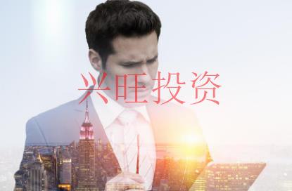 個人獨資公司的優(yōu)缺點