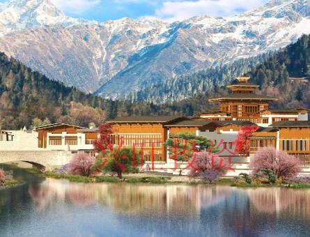 創(chuàng)意,青旅旅行社起名